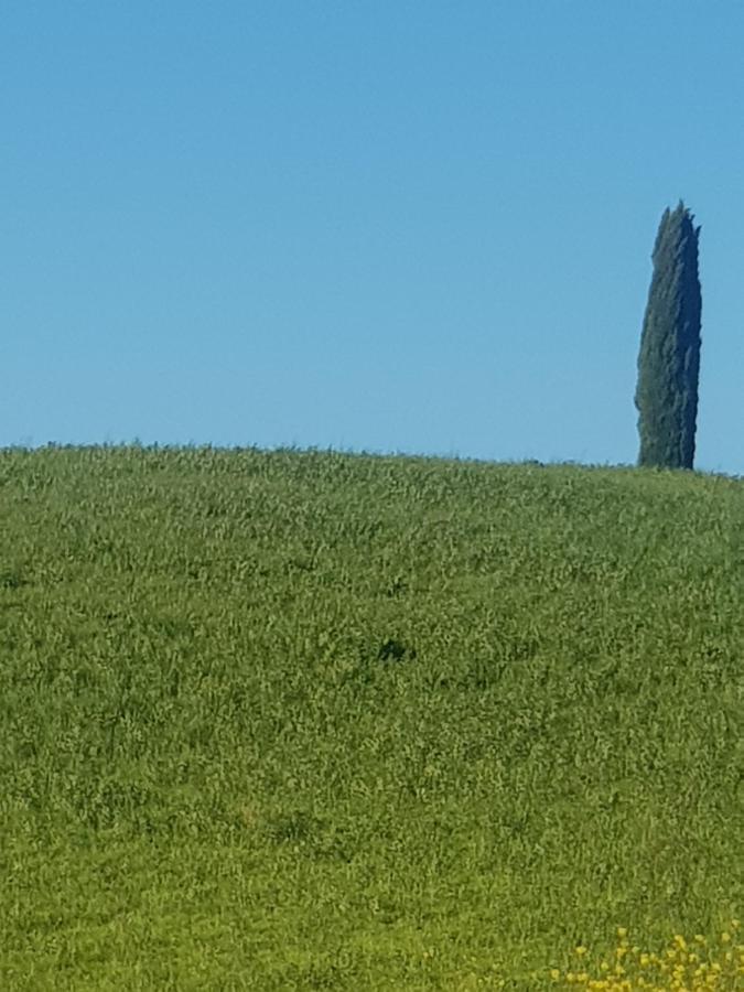 Апартаменти Casa Per L'Osticcio Vista Sulla Val D'Orcia Монтальчино Екстер'єр фото