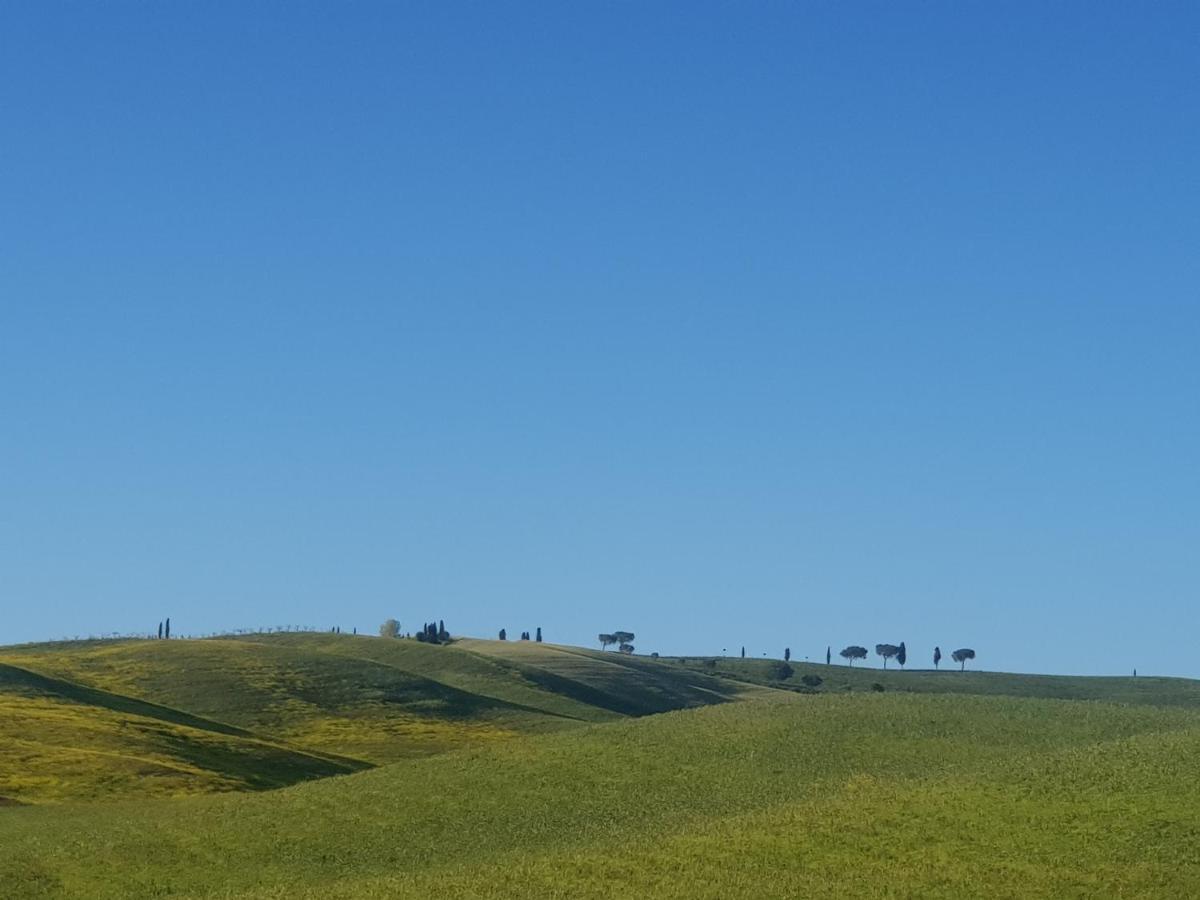 Апартаменти Casa Per L'Osticcio Vista Sulla Val D'Orcia Монтальчино Екстер'єр фото