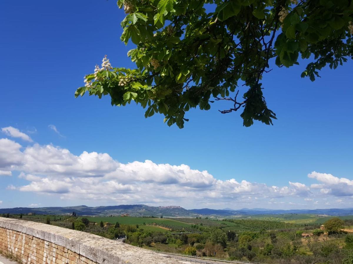 Апартаменти Casa Per L'Osticcio Vista Sulla Val D'Orcia Монтальчино Екстер'єр фото