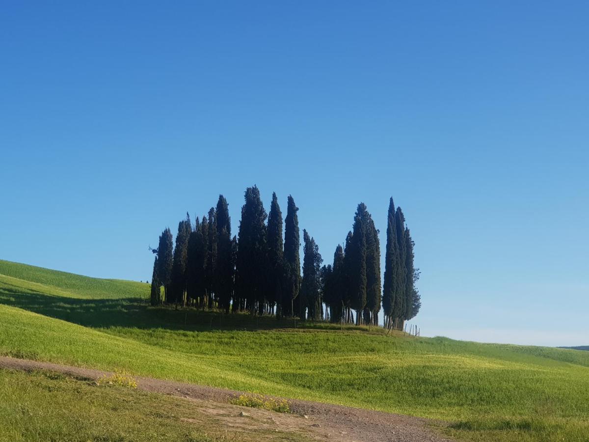 Апартаменти Casa Per L'Osticcio Vista Sulla Val D'Orcia Монтальчино Екстер'єр фото