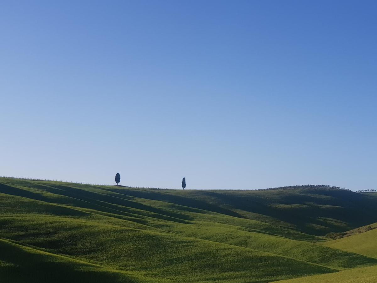 Апартаменти Casa Per L'Osticcio Vista Sulla Val D'Orcia Монтальчино Екстер'єр фото