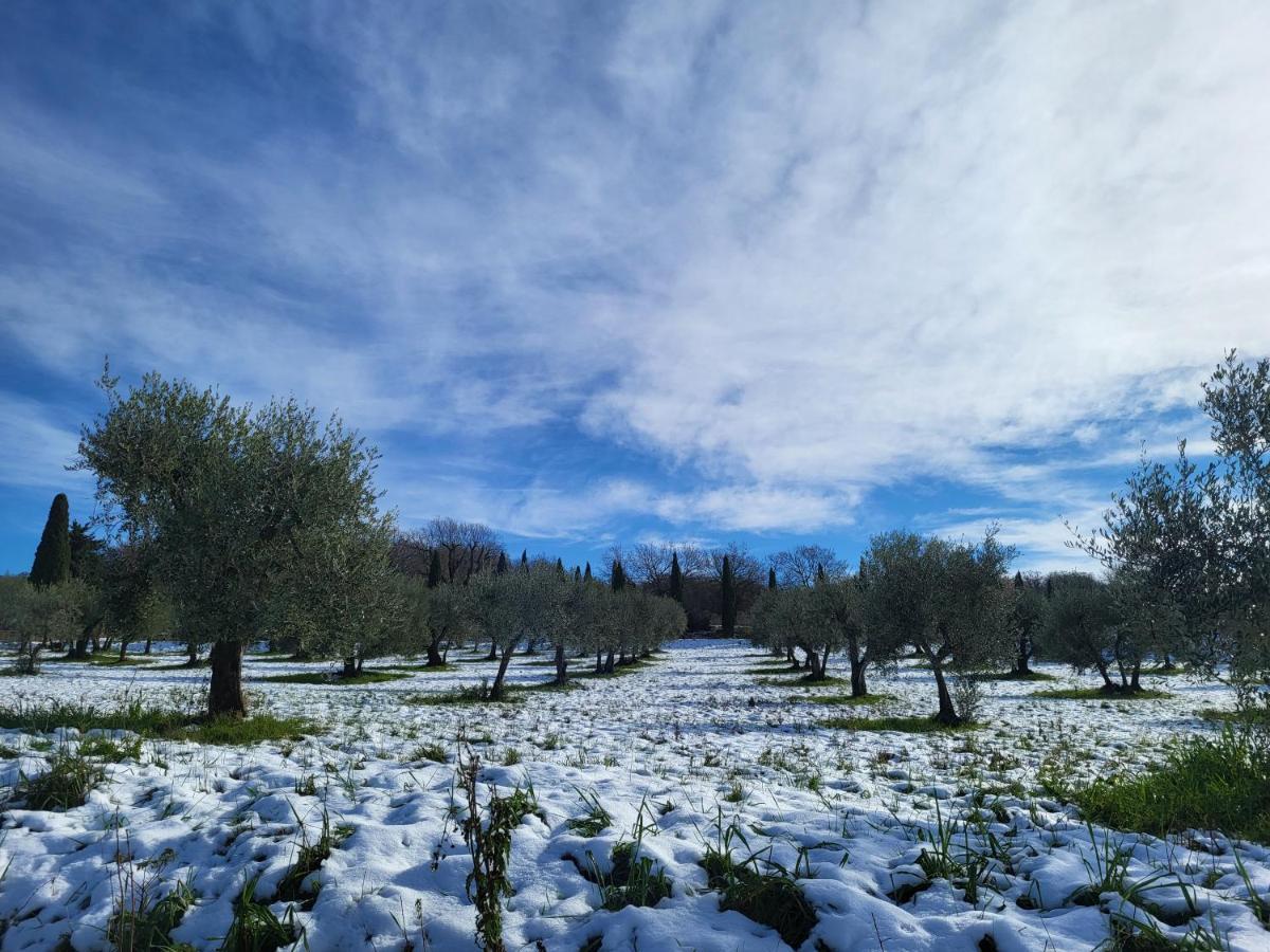 Апартаменти Casa Per L'Osticcio Vista Sulla Val D'Orcia Монтальчино Екстер'єр фото