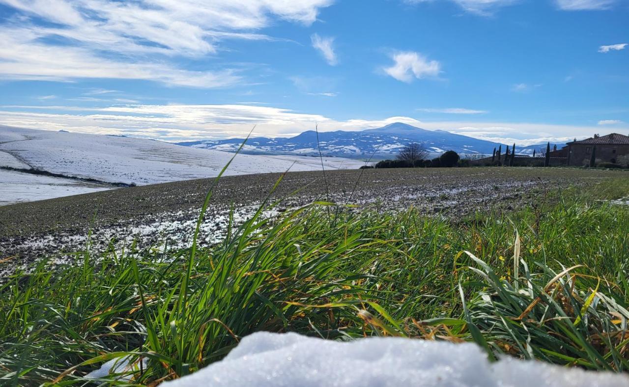 Апартаменти Casa Per L'Osticcio Vista Sulla Val D'Orcia Монтальчино Екстер'єр фото