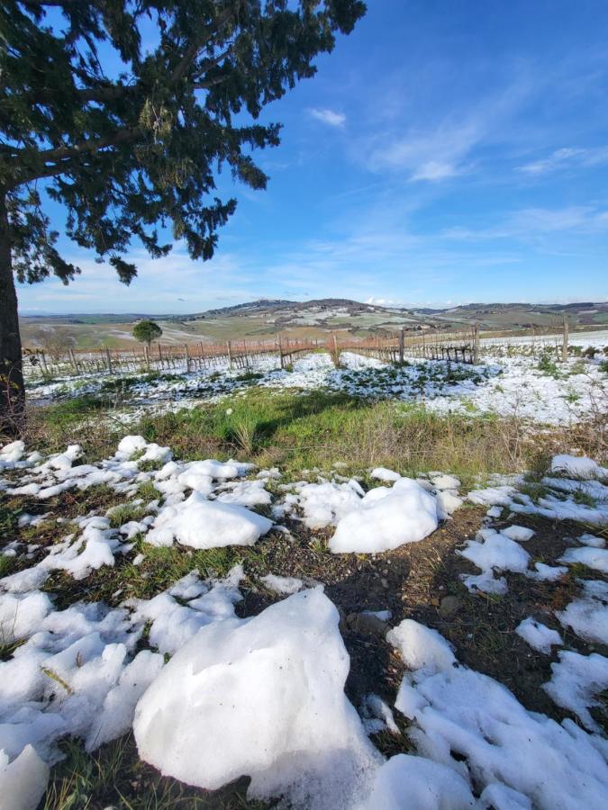 Апартаменти Casa Per L'Osticcio Vista Sulla Val D'Orcia Монтальчино Екстер'єр фото